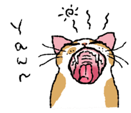 Cats of the onomatopoeia (English Ver.) sticker #13132886