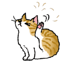 Cats of the onomatopoeia (English Ver.) sticker #13132903