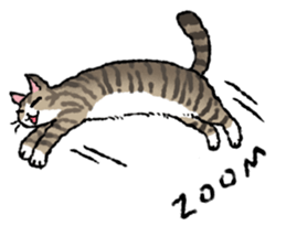 Cats of the onomatopoeia (English Ver.) sticker #13132906