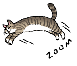 Cats of the onomatopoeia (English Ver.) sticker #13132906