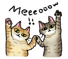 Cats of the onomatopoeia (English Ver.) sticker #13132908