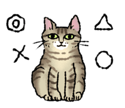 Cats of the onomatopoeia (English Ver.) sticker #13132909
