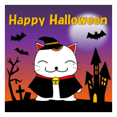 Cat coming carrying happiness.Autumn