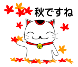 Cat coming carrying happiness.Autumn sticker #13135058