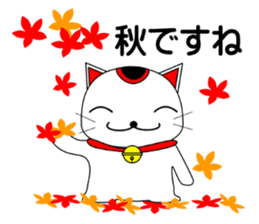 Cat coming carrying happiness.Autumn sticker #13135058