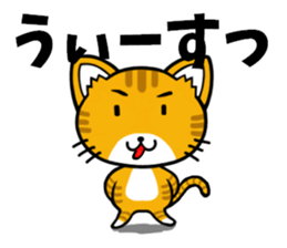 Cat! Cat! Cat! +2 sticker #13139656