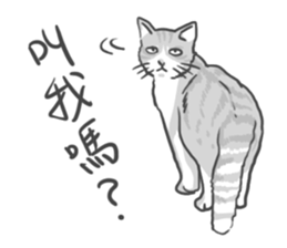 Annoying Cat - Mifu sticker #13141007