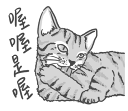 Annoying Cat - Mifu sticker #13141009