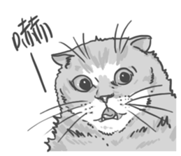 Annoying Cat - Mifu sticker #13141012