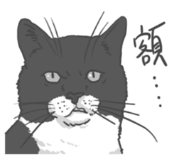 Annoying Cat - Mifu sticker #13141013