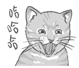 Annoying Cat - Mifu sticker #13141017