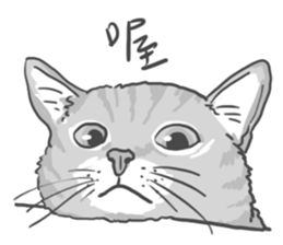 Annoying Cat - Mifu sticker #13141020