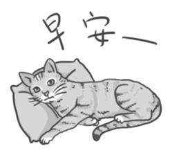Annoying Cat - Mifu sticker #13141027