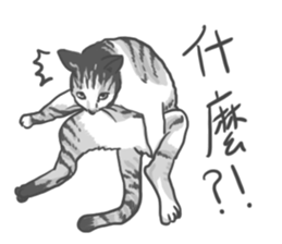 Annoying Cat - Mifu sticker #13141029