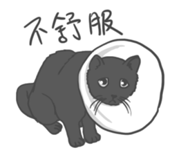 Annoying Cat - Mifu sticker #13141034