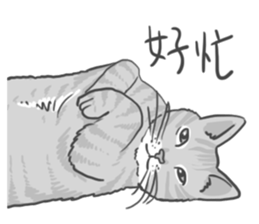 Annoying Cat - Mifu sticker #13141040