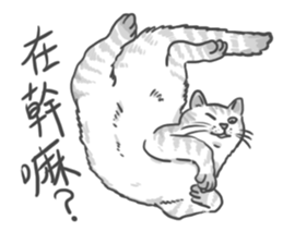 Annoying Cat - Mifu sticker #13141041