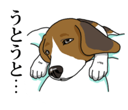 Daily Beagle No.2 sticker #13141390