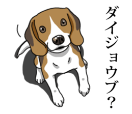 Daily Beagle No.2 sticker #13141391