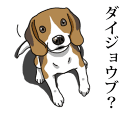 Daily Beagle No.2 sticker #13141391