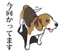 Daily Beagle No.2 sticker #13141392
