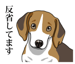 Daily Beagle No.2 sticker #13141393