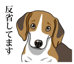 Daily Beagle No.2 sticker #13141393
