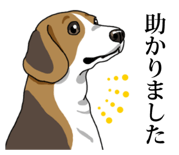 Daily Beagle No.2 sticker #13141396