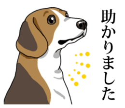 Daily Beagle No.2 sticker #13141396