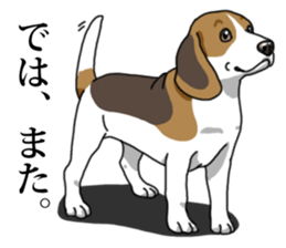 Daily Beagle No.2 sticker #13141400