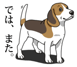 Daily Beagle No.2 sticker #13141400