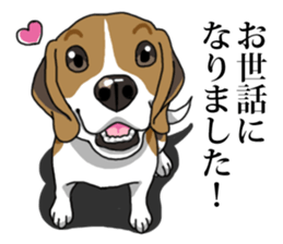 Daily Beagle No.2 sticker #13141403