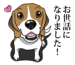 Daily Beagle No.2 sticker #13141403