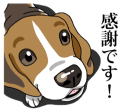 Daily Beagle No.2 sticker #13141404