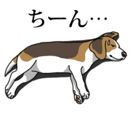 Daily Beagle No.2 sticker #13141406