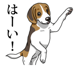 Daily Beagle No.2 sticker #13141407