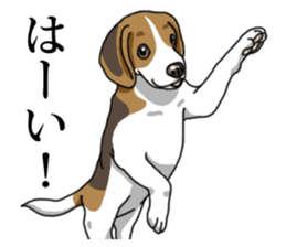Daily Beagle No.2 sticker #13141407
