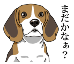 Daily Beagle No.2 sticker #13141410