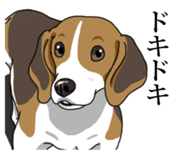 Daily Beagle No.2 sticker #13141415