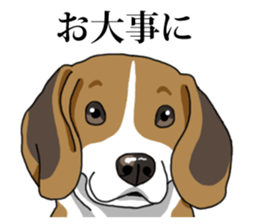 Daily Beagle No.2 sticker #13141416