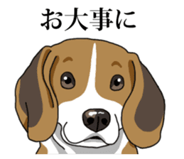Daily Beagle No.2 sticker #13141416