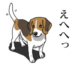 Daily Beagle No.2 sticker #13141419