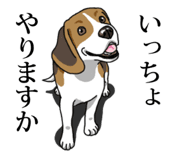 Daily Beagle No.2 sticker #13141421
