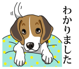 Daily Beagle No.2 sticker #13141422