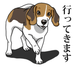 Daily Beagle No.2 sticker #13141423