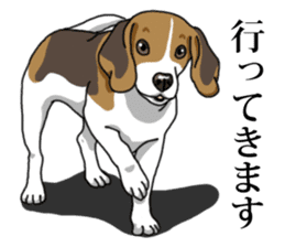 Daily Beagle No.2 sticker #13141423