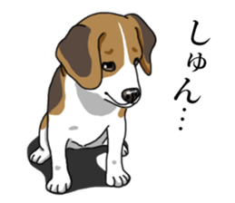 Daily Beagle No.2 sticker #13141424