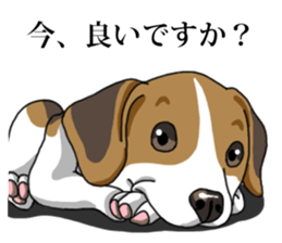 Daily Beagle No.2 sticker #13141428