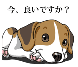 Daily Beagle No.2 sticker #13141428