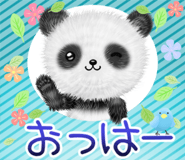 pandanda sticker #13141472